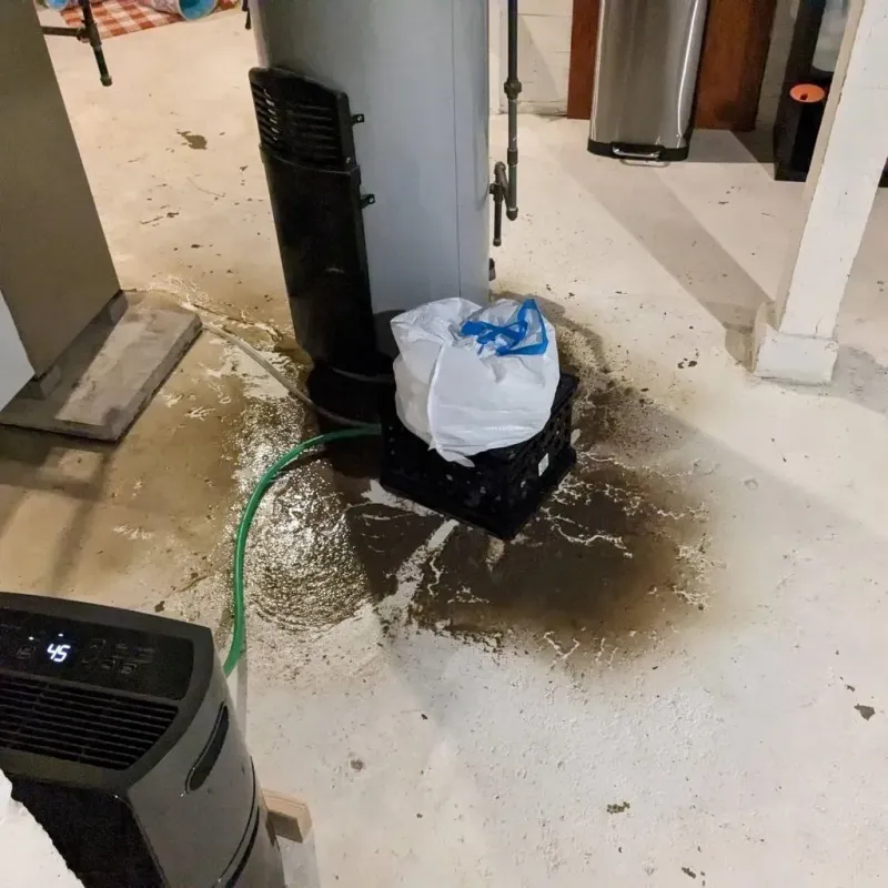 Sewage Backup Cleanup Service in Cutten, CA